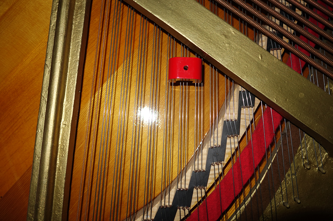 small_DSC03157 small_DSC03157